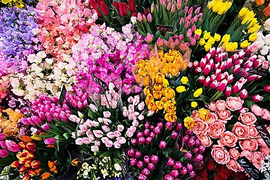 不破不立 《罪恶装备：Strive》重做天梯系统挽回玩家